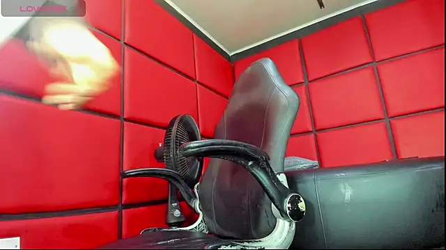 damian bull online show from February 13, 2026, 1:07 pm