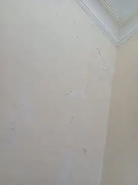 Snapshot of Sondosa3 chatting on October 5, 2025, 9:02 pm Sondosa3 online show from October 5, 2025, 9:02 pm