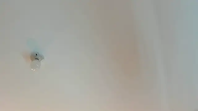 Snapshot of Lily666_ chatting on October 7, 2025, 7:33 pm Lily666 online show from October 7, 2025, 7:33 pm