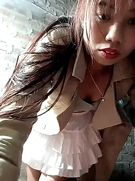 Dung-Thao19 online show from November 25, 2025, 2:50 pm