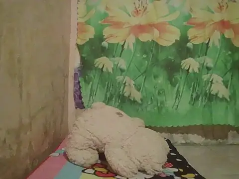 Snapshot of sexymorenal18 chatting on September 27, 2025, 1:38 pm sexymorenal18 online show from September 27, 2025, 1:38 pm