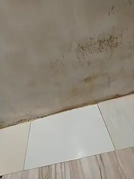 Tharindu34  online show from February 7, 2026, 7:56 am