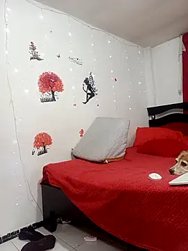 Lady 16 online show from February 8, 2026, 1:09 am