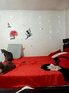 Snapshot of Lady_16 chatting on February 17, 2026, 1:57 am Lady 16 online show from February 17, 2026, 1:57 am