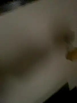 succy33 online show from October 15, 2025, 7:41 am