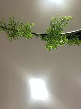 Snapshot of CharlotteBrownn_ chatting on February 23, 2026, 3:04 am CharlotteBrownn online show from February 23, 2026, 3:04 am