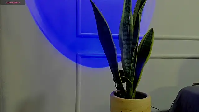 Ice Princess  online show from October 2, 2025, 4:41 am