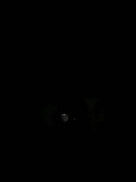 philefc online show from November 3, 2025, 7:42 am