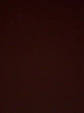 BrusqueEuphoria online show from October 11, 2025, 4:55 am