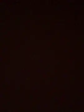 BrusqueEuphoria online show from October 22, 2025, 3:18 am