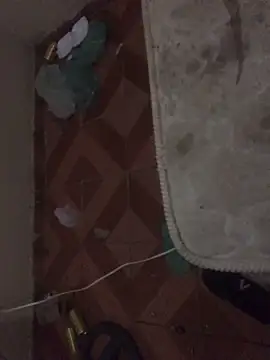 BrusqueEuphoria online show from October 23, 2025, 1:27 am