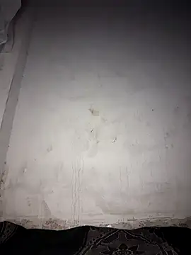 msandmr online show from December 20, 2025, 7:43 pm