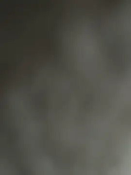 NoddingScorpion online show from December 5, 2025, 8:34 am