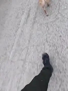 Snapshot of Axelitoc chatting on March 5, 2026, 6:09 am Axelitoc online show from March 5, 2026, 6:09 am