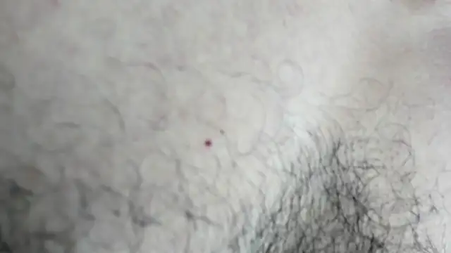 latinhotmuscle online show from October 31, 2025, 3:18 am