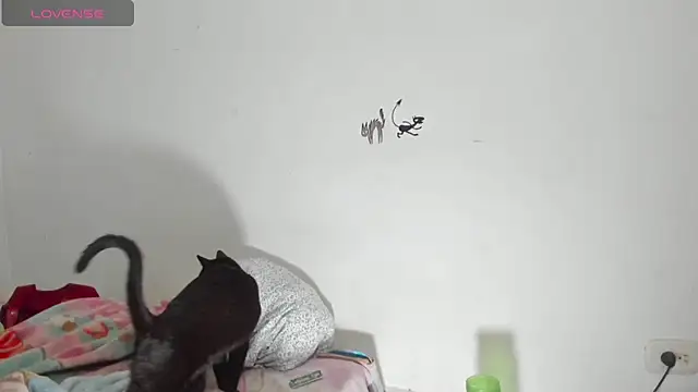 Raven Rouge  online show from September 26, 2025, 6:17 am