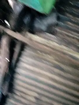 Hot-ilaiy online show from December 22, 2025, 3:36 am