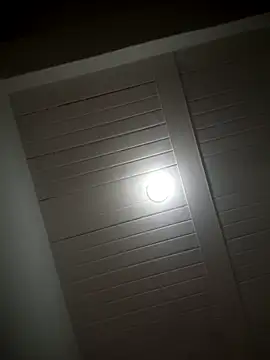 alex colombiano online show from September 28, 2025, 2:55 pm