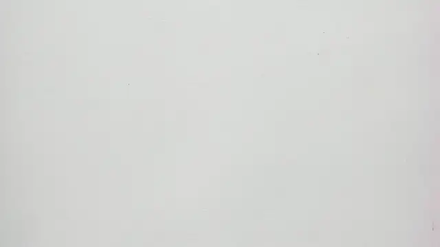 Saammy 17 online show from September 20, 2025, 8:21 pm