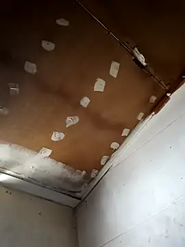 Snapshot of lucho2328 chatting on September 30, 2025, 6:46 pm lucho2328 online show from September 30, 2025, 6:46 pm