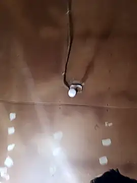 Snapshot of lucho2328 chatting on October 29, 2025, 6:31 pm lucho2328 online show from October 29, 2025, 6:31 pm