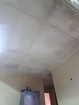 Karamelsaus online show from October 25, 2025, 2:46 pm