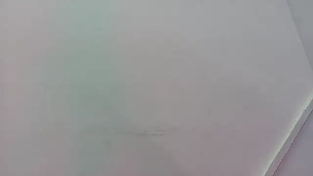 Lizbeth Rouse online show from November 21, 2025, 11:31 am