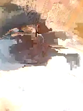 Forla-40 online show from October 17, 2025, 12:41 pm