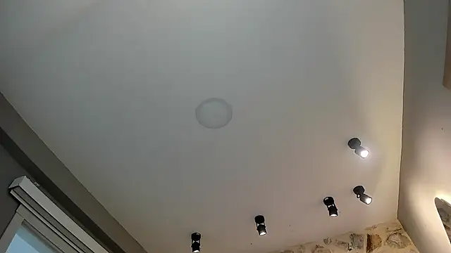 Snapshot of VenusBlazer chatting on February 14, 2026, 7:10 pm VenusBlazer online show from February 14, 2026, 7:10 pm