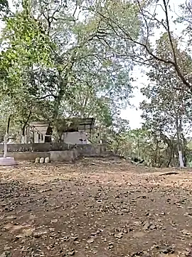 yung cplz online show from February 7, 2026, 7:34 am