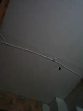 Romashka33011 online show from November 6, 2025, 8:15 am