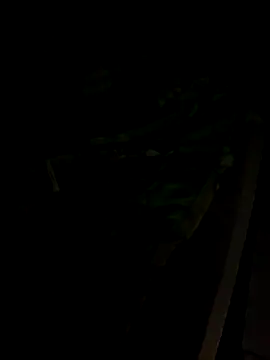 Snapshot of sr_dias chatting on November 13, 2025, 8:46 am sr dias online show from November 13, 2025, 8:46 am