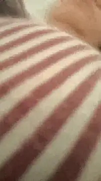 Snapshot of bibi_perigoBr chatting on September 29, 2025, 3:39 pm bibi perigoBr online show from September 29, 2025, 3:39 pm