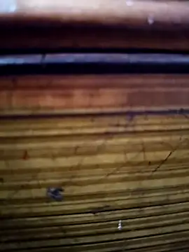 Shruti Bhabhi38 online show from November 1, 2025, 5:59 pm