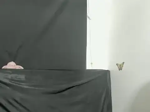 evelynesex online show from April 23, 2026, 2:02 am