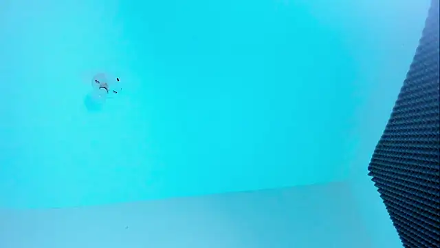 Snapshot of Ellope_ chatting on October 22, 2025, 11:04 pm Ellope online show from October 22, 2025, 11:04 pm