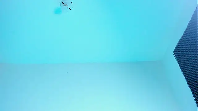 Im naho online show from October 21, 2025, 11:16 pm