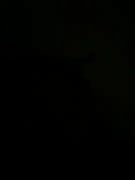Snapshot of FirstTimeEvr chatting on July 7, 2026, 7:34 am FirstTimeEvr online show from July 7, 2026, 7:34 am