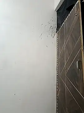 Snapshot of NoxiousFilename chatting on October 5, 2025, 3:43 pm NoxiousFilename online show from October 5, 2025, 3:43 pm