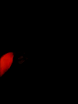 NoxiousFilename online show from December 22, 2025, 5:15 am