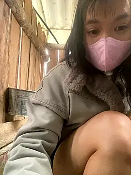 PhanHaa online show from January 16, 2026, 2:04 am