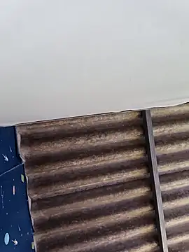 Snapshot of WholeAltimeter25 chatting on February 10, 2026, 5:44 am WholeAltimeter25 online show from February 10, 2026, 5:44 am