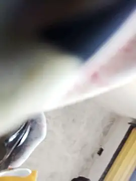 Bhavna hot online show from February 9, 2026, 11:36 am