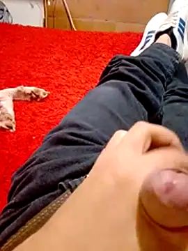 Zesa7 online show from February 5, 2026, 6:01 pm