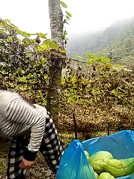 quynhkoolbae online show from December 22, 2025, 3:25 am