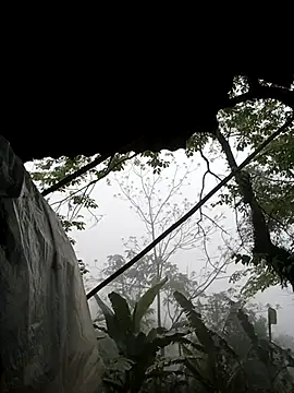 Snapshot of lucybaby00 chatting on March 21, 2026, 8:19 am lucybaby00 online show from March 21, 2026, 8:19 am