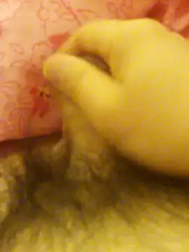 Snapshot of Hl1979 chatting on February 27, 2026, 9:04 pm Hl1979 online show from February 27, 2026, 9:04 pm