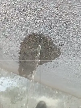 Snapshot of sexofbro chatting on March 22, 2026, 5:33 am sexofbro online show from March 22, 2026, 5:33 am