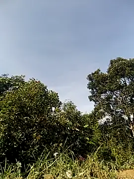 Snapshot of vivi_cute chatting on October 30, 2025, 1:51 am vivi cute online show from October 30, 2025, 1:51 am