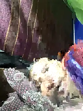 ResponsibleGuide2 online show from November 13, 2025, 12:26 pm